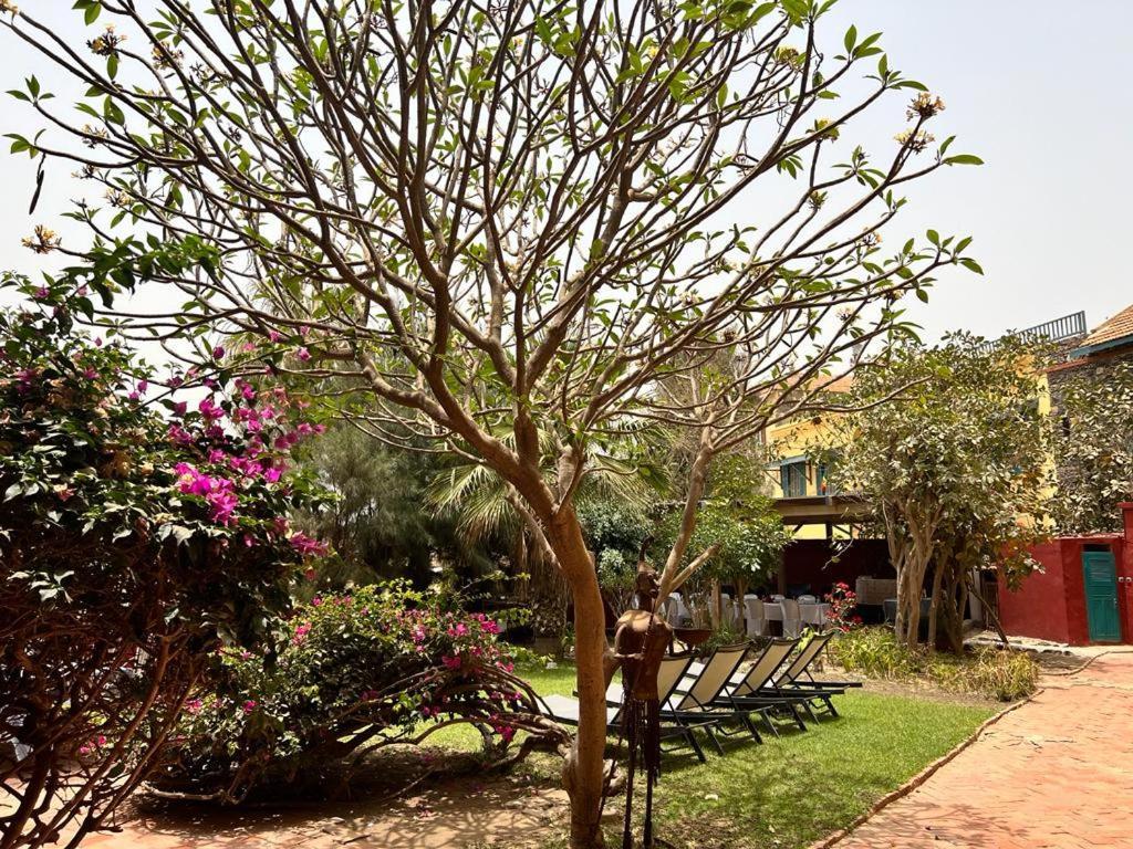 Chez Olivier - Ile De Goree Luaran gambar